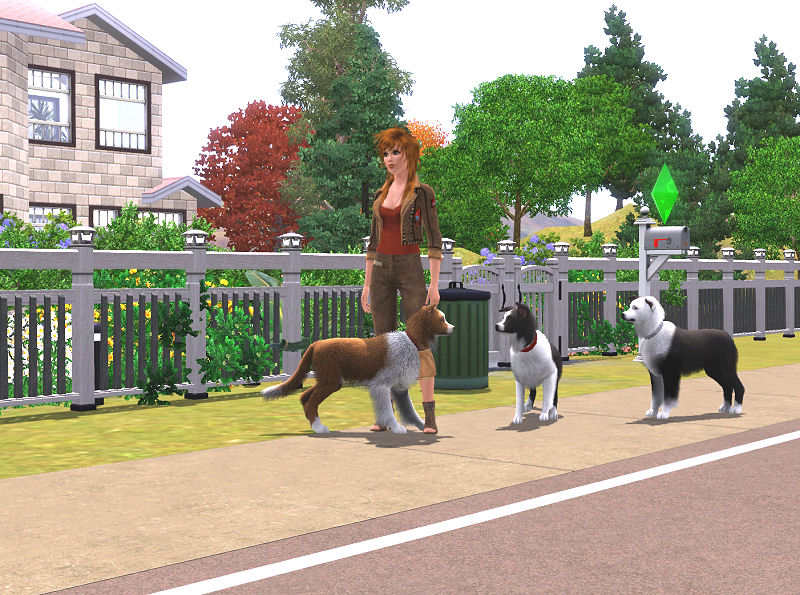 MBC (mad border collies) My Sims 3 Dogs
