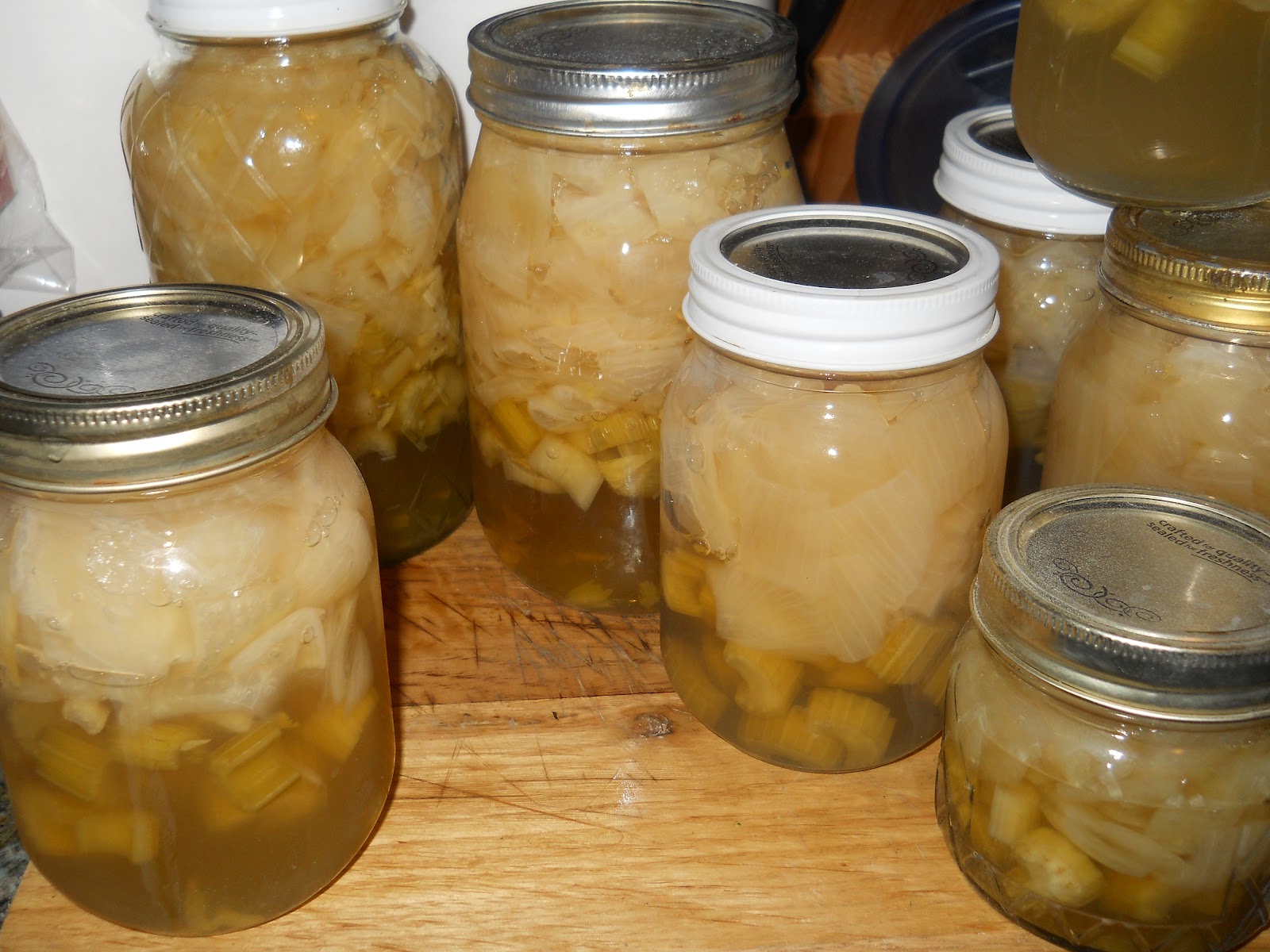 Living Crazy in Montana Canning Onions