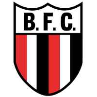 BOTAFOGO FUTEBOL CLUBE DE RIBEIRO PRETO