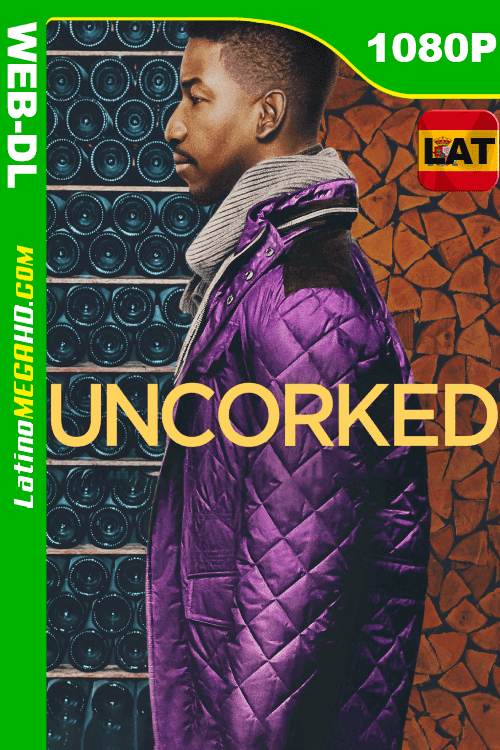 Uncorked (2020) Latino HD WEB-DL 1080P ()