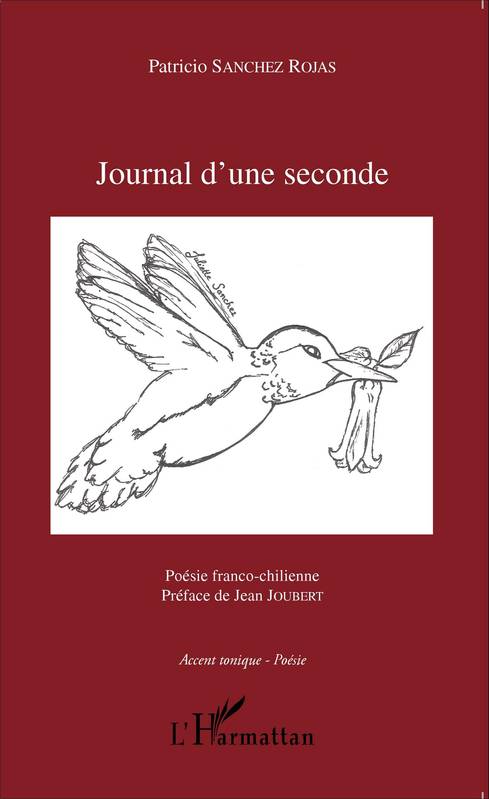 Journal d'une seconde, Patricio Sanchez (France, 2015)