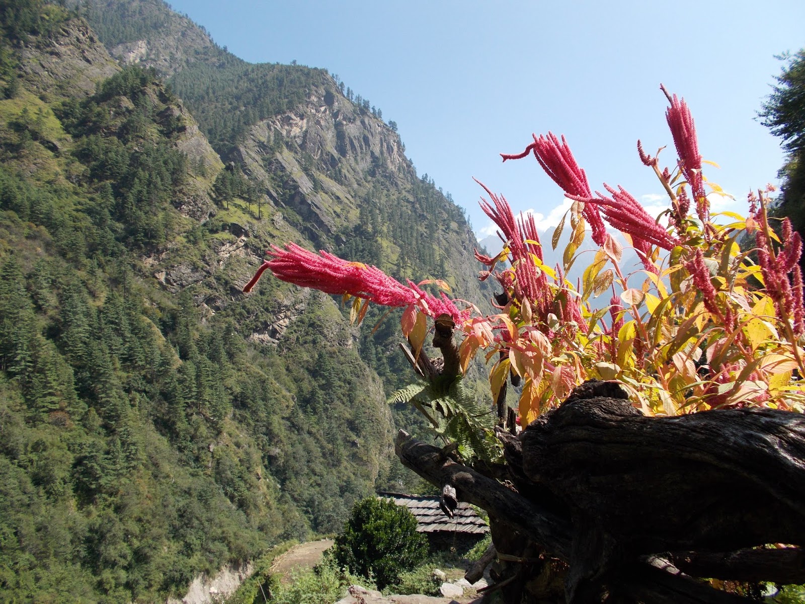 Вокруг Манаслу, долина Цум, Нар-Пу. Непал 2017.