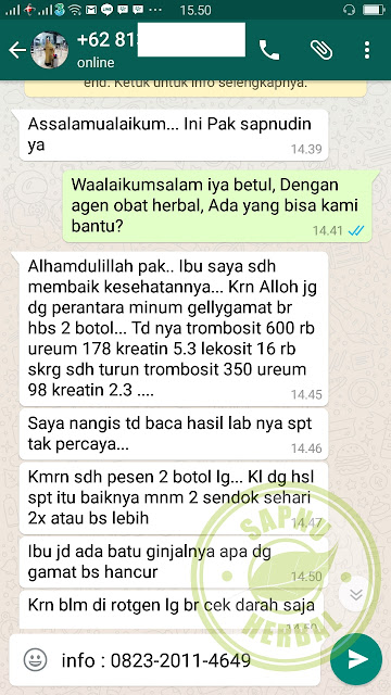Cara Menaikkan Trombosit yang Rendah Dengan Cepat dan Aman ~ TESTIMONI QNC JELLY GAMAT Cara Menaikkan Trombosit yang Rendah Dengan Cepat dan Aman ~ TESTIMONI QNC JELLY GAMAT