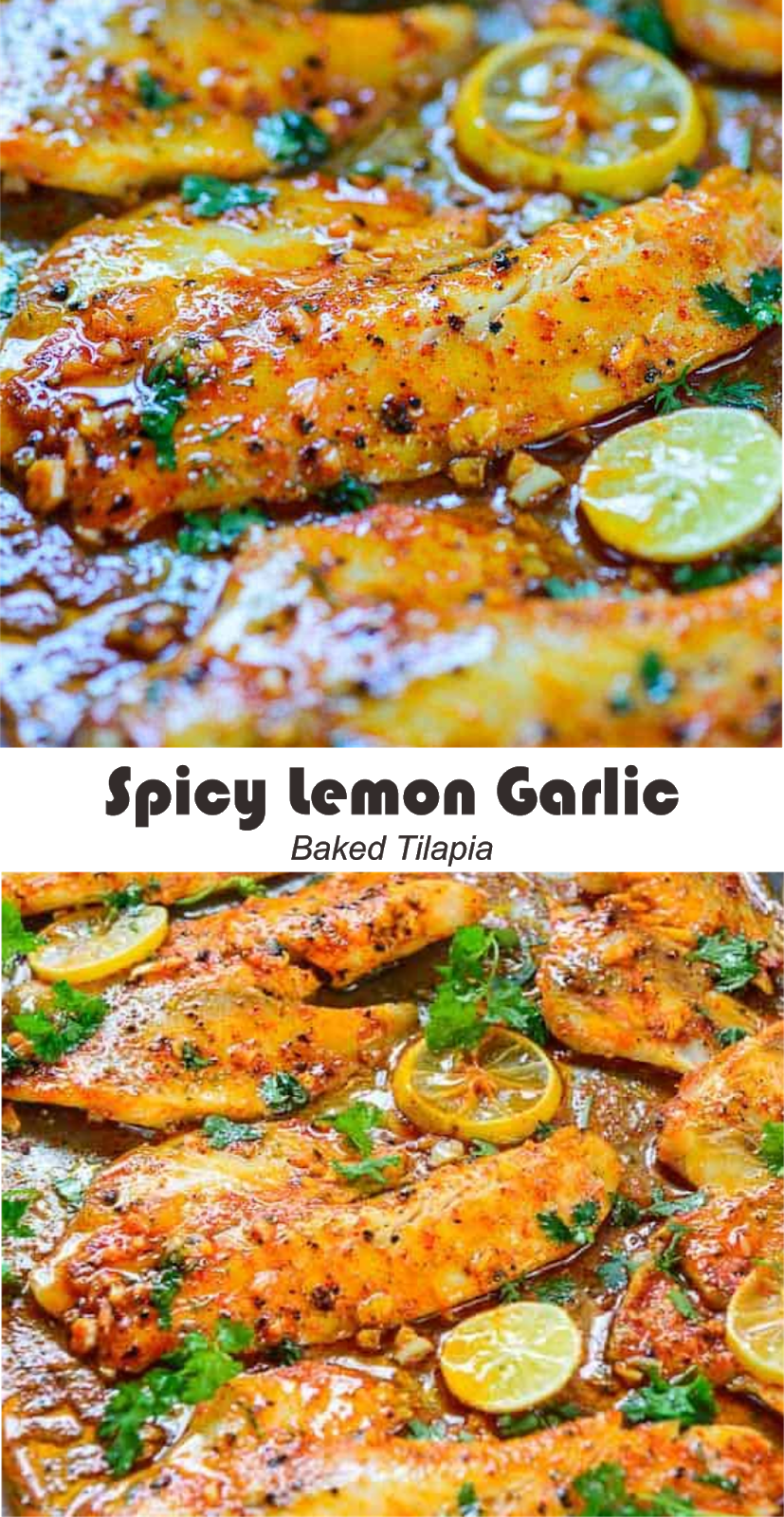 Spicy Lemon Garlic Baked Tilapia Amzing Food