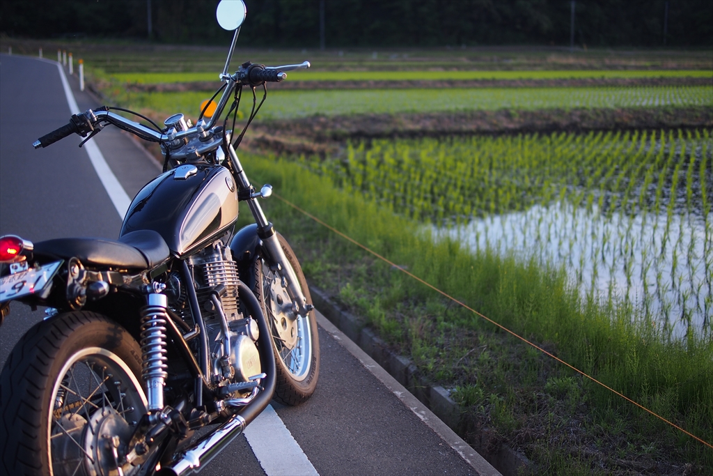 On Any Sunday BLOG: SR400と話の長いおじいちゃんと犬のおじさん