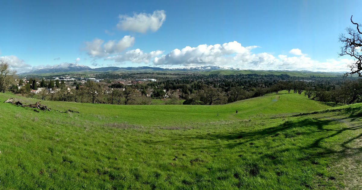 Naturetastic Blog Ranch Regional Preserve (Cellphone Shots) San Ramon, CA