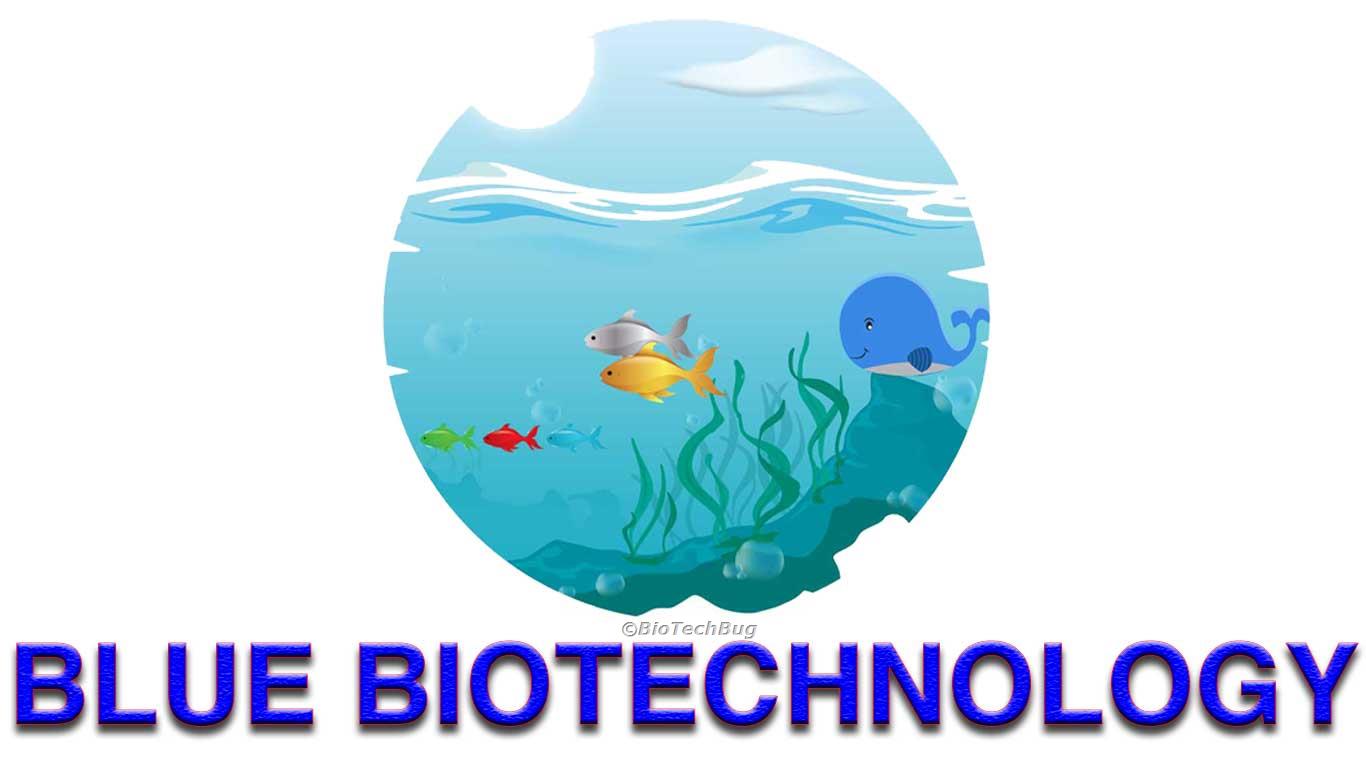 Colourful Types of Biotechnology