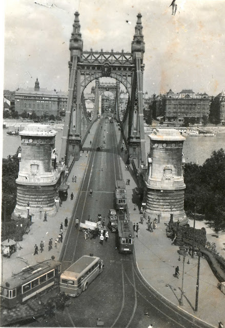 Stunning Image of Elisabeth Bridge, Budapest in 1941 
