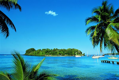 Paysage de Saint Vincent et les Grenadines 