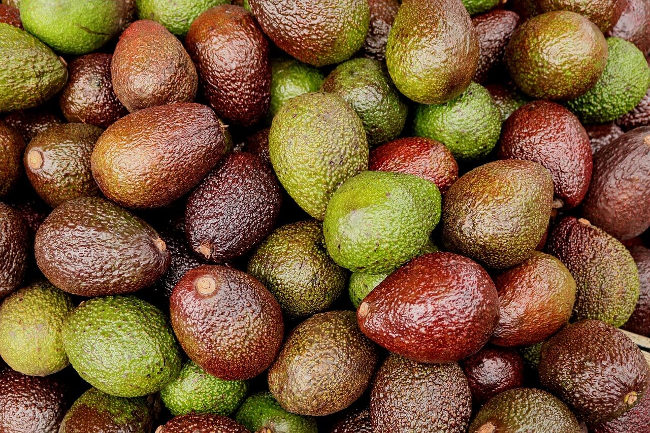 Avocado Nutrition Origins, Nutritional Facts, Varieties and Its Health