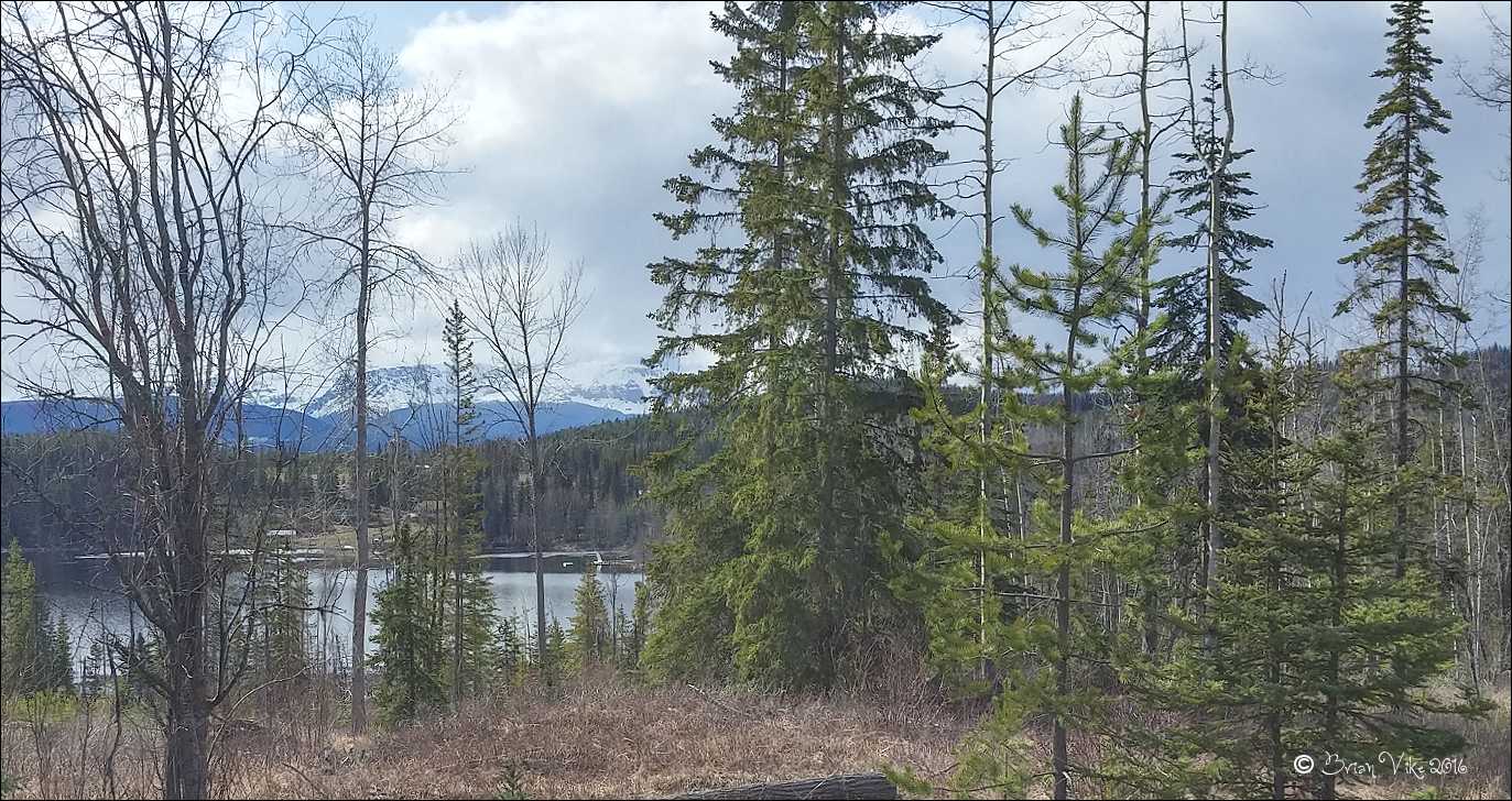 Northern Interior British Columbia Irrigation Lake Houston British