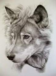 wolf pencil animal drawing awesome drawings realistic animals wolves sketches cool sketch amazing draw most wolfs ever dog tattoo nature