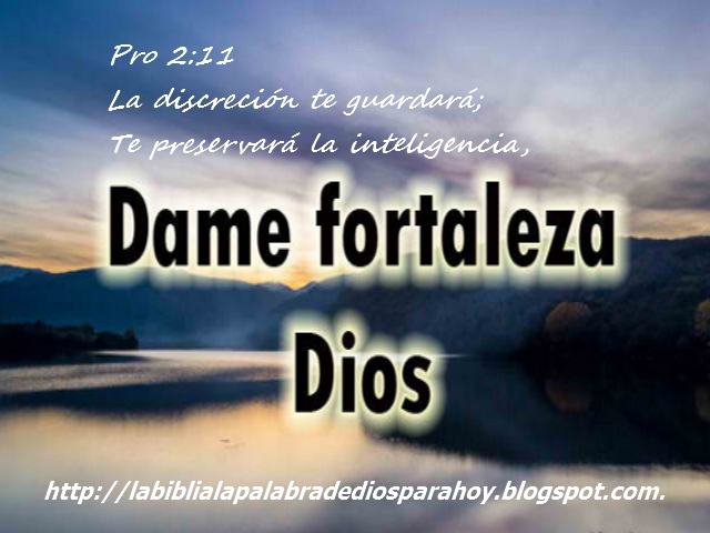 proverbios 11 29 dios habla hoy