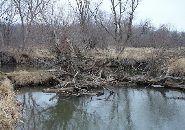 The Stream Of Time: Cannibals and Carnivores