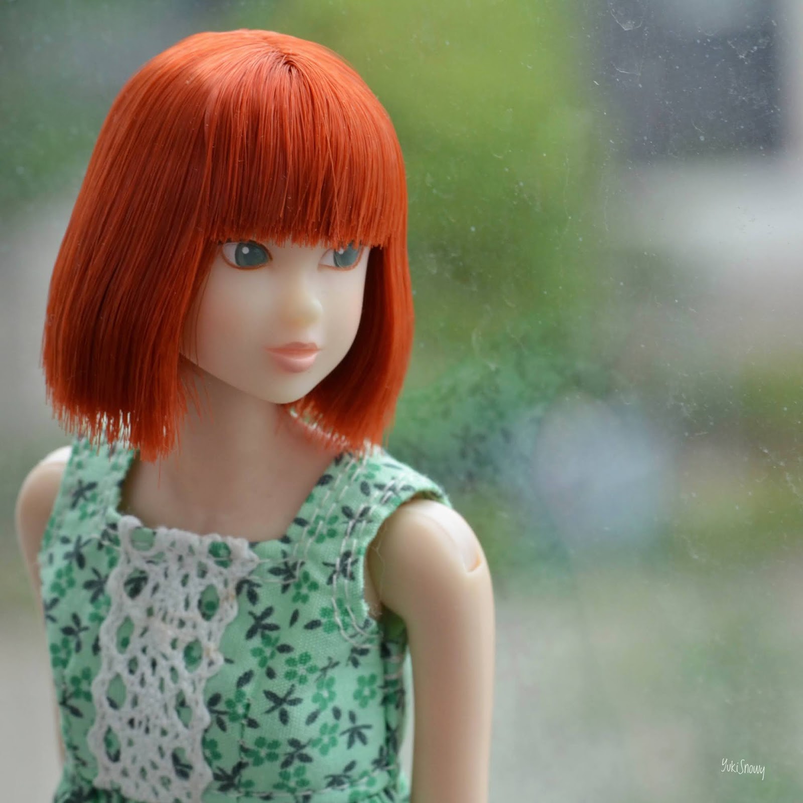 ペットワー みんなでつくるmomoko 美品 モモコ セキグチ mkw0A