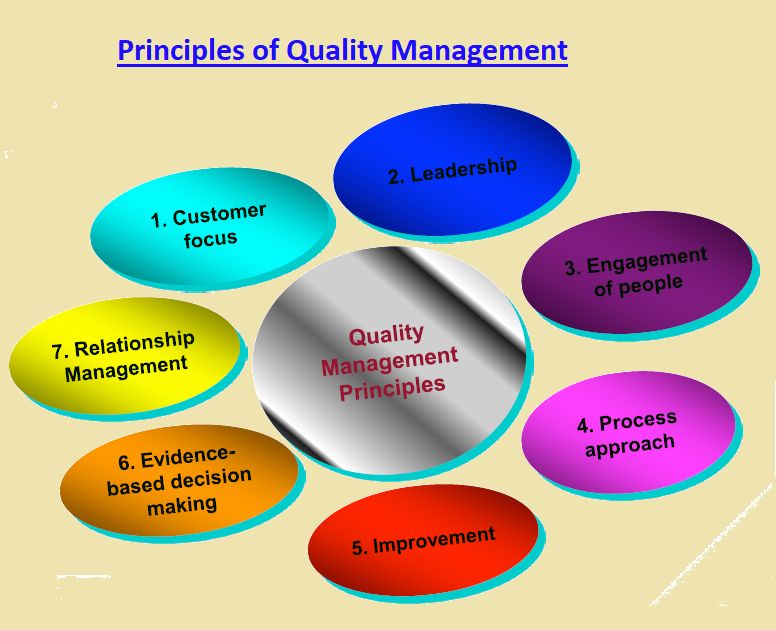 Принцип про. Principles of quality Management. Seven principles of quality. 7 Quality Management principles. ISO 9001 уровень CMMI.
