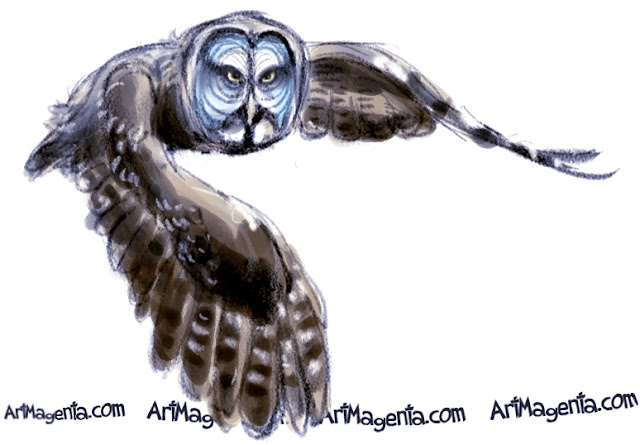 Great Grey Owl  sketch painting. Bird art drawing by illustrator Artmagenta.