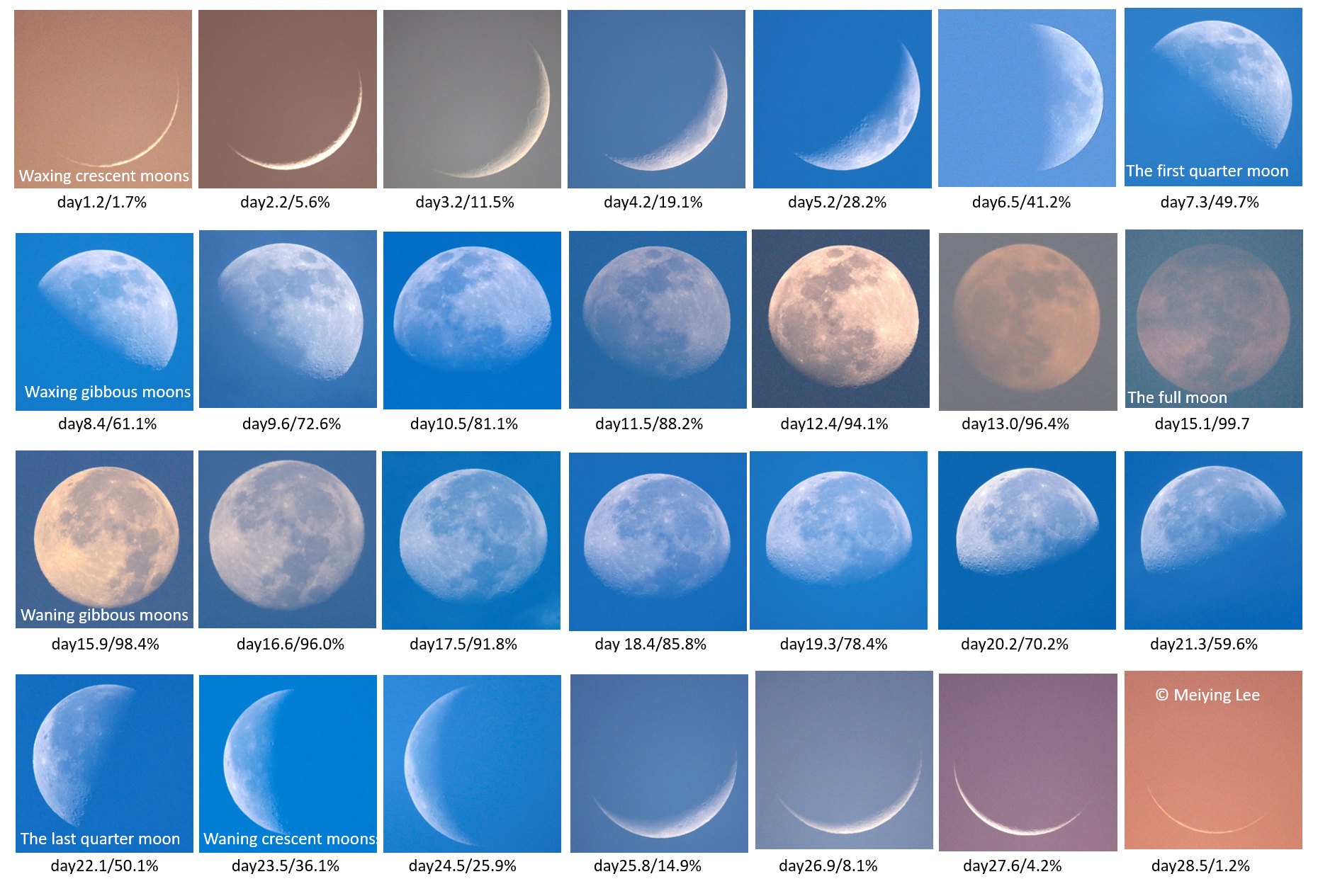 Фазы Луны phases of the Moon. 16.08.04 Луна. Фаза Луны астрофотография. 11 Стадия Луны.