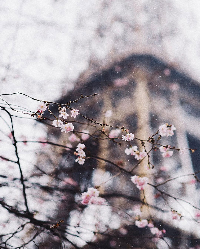 Weekday Wanderlust | From Instagram: Paris Sous La Neige / Paris in the Snow