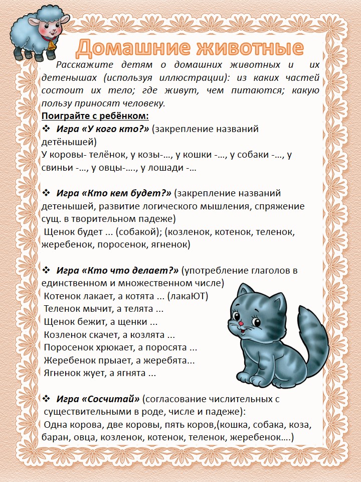 Познавательное развитие. Внимательно рассмотрите картинки и выполните задания. 2