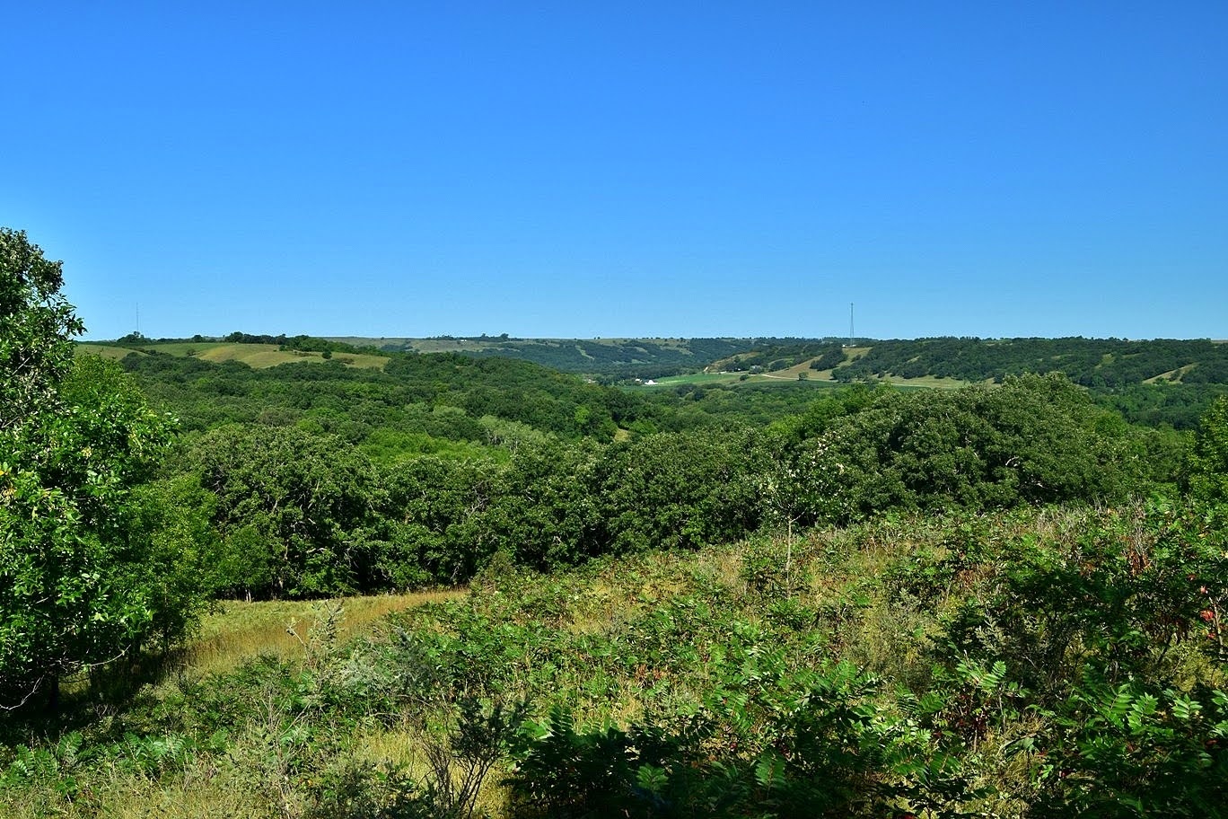Waterfall Hero Hikes Sheyenne River State Forest
