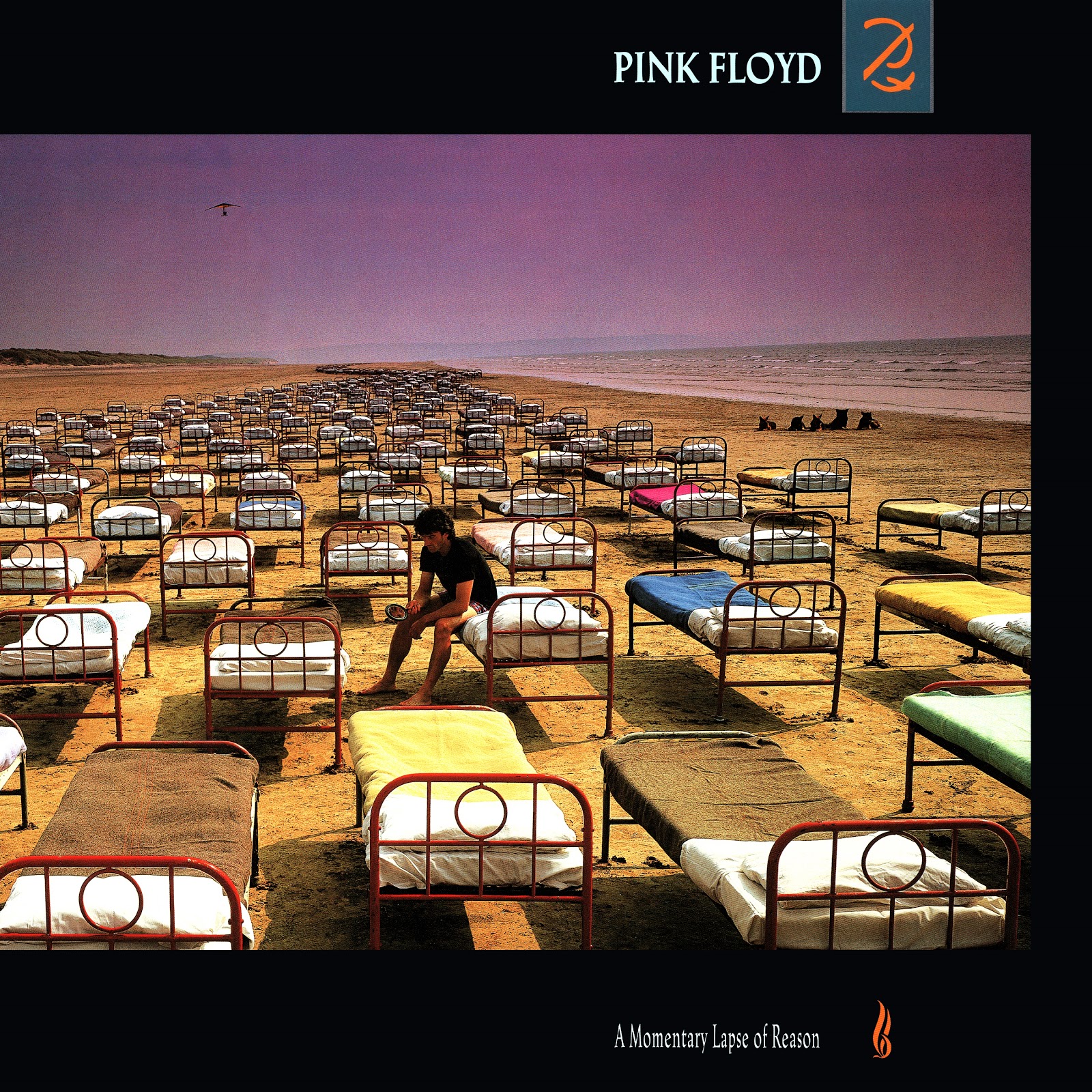 Pink Floyd Ilustrado A Momentary Lapse of Reason L.P Vinyl U.S.A 2017
