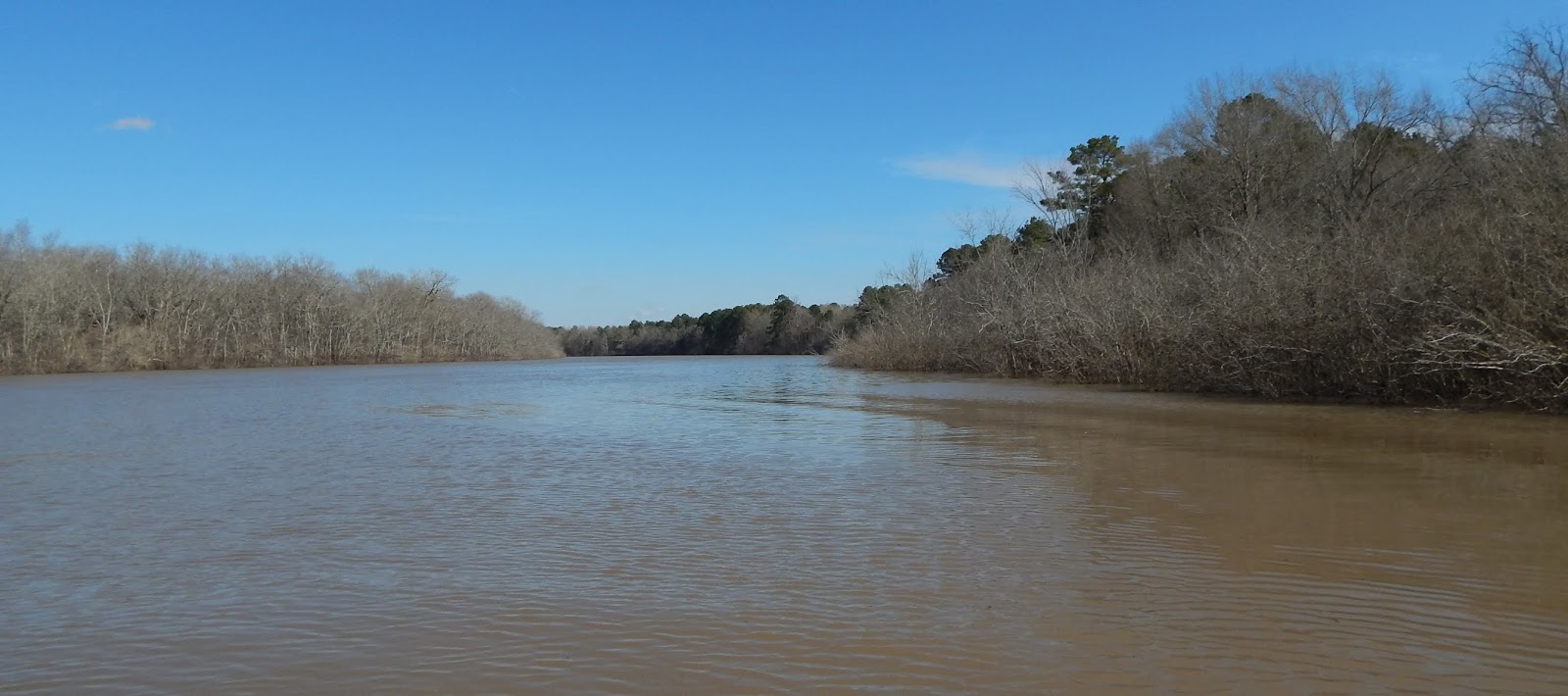 Central Louisiana Birding & Wildlife Birding on the Ouachita and Boeuf