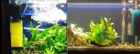 How to setup 2 internal filters in 1 aquarium?