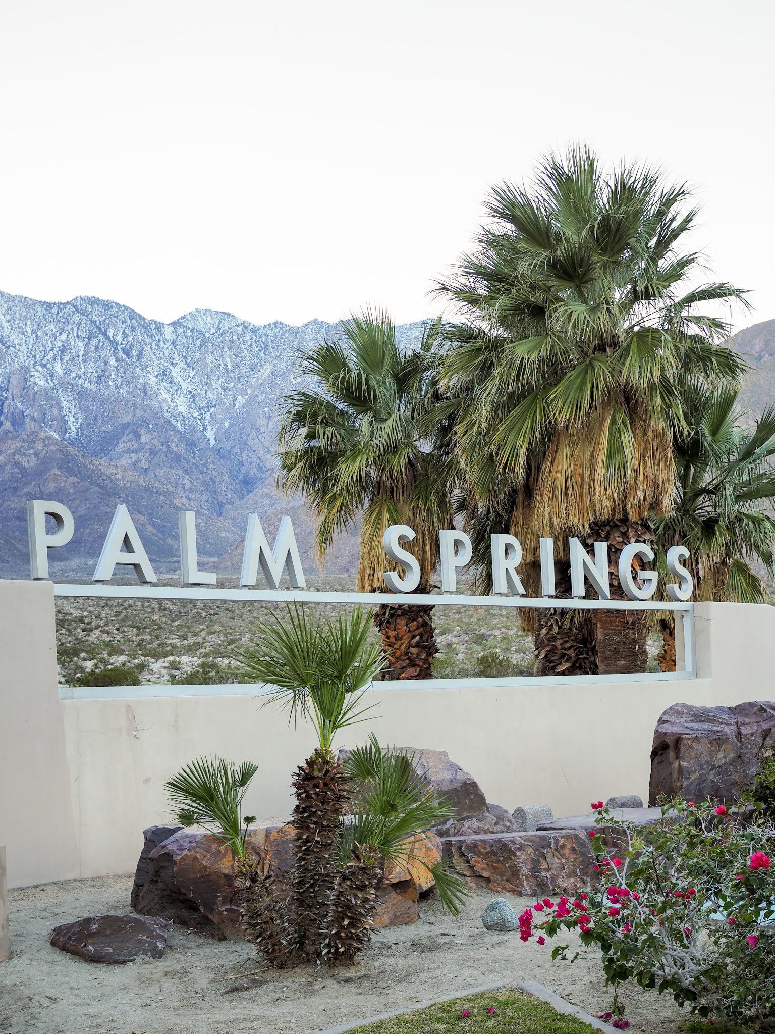 Little Hiccups Things To Do In & Around Palm Springs