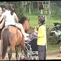 Cerita Dulkalim Pemilik Persewaan Kuda di Kawasan Wisata Trawas