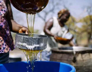 Shea oil is a multi-purpose food grade cooking oil