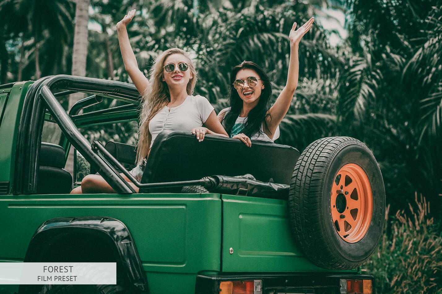 Presets Tone Màu Xanh Lá Cây Phù Hợp Với Ảnh Dã Ngoại – Forest Lightroom Presets (DNG, XMP, LR)