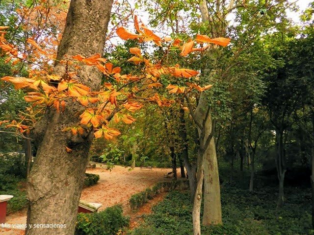 Parque la Quinta de la Fuente del Berro, Madrid