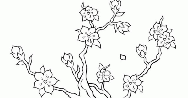 49+ Gambar Sketsa Pohon Bunga Sakura