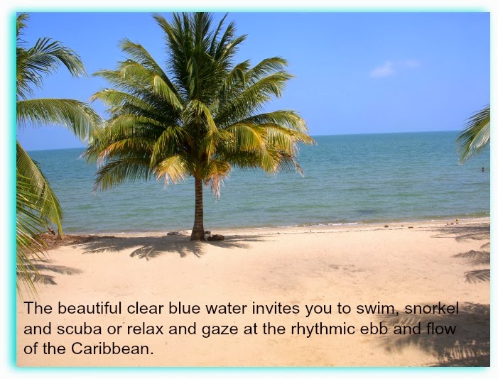 Belize In The Magic of the Carribean HIBISCUS CABANA Vacation Rental