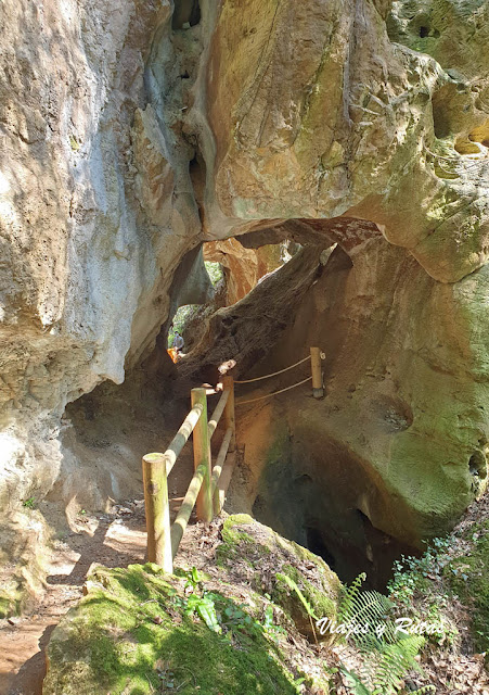 Cuevas de Andina