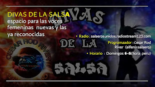 DIVAS DE LA SALSA(POR SALSEROS UNIDOS LA RADIO)