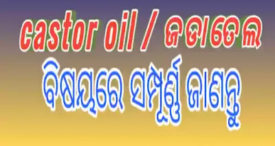 Castor oil in Odia