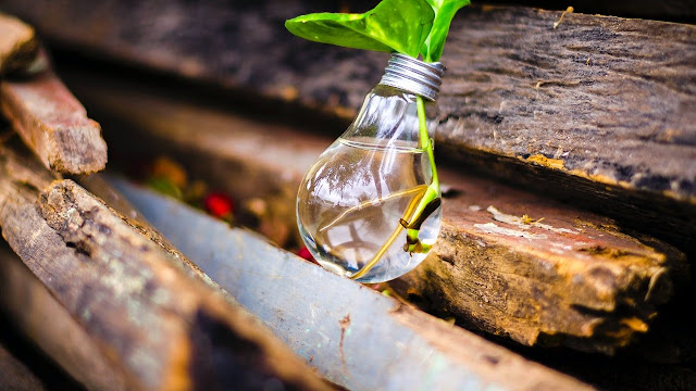 A green leaf in a lamp with nature background