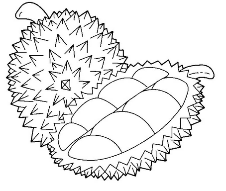 Mewarnai Buah Durian dengan warna yang bagus - blog mewarnai