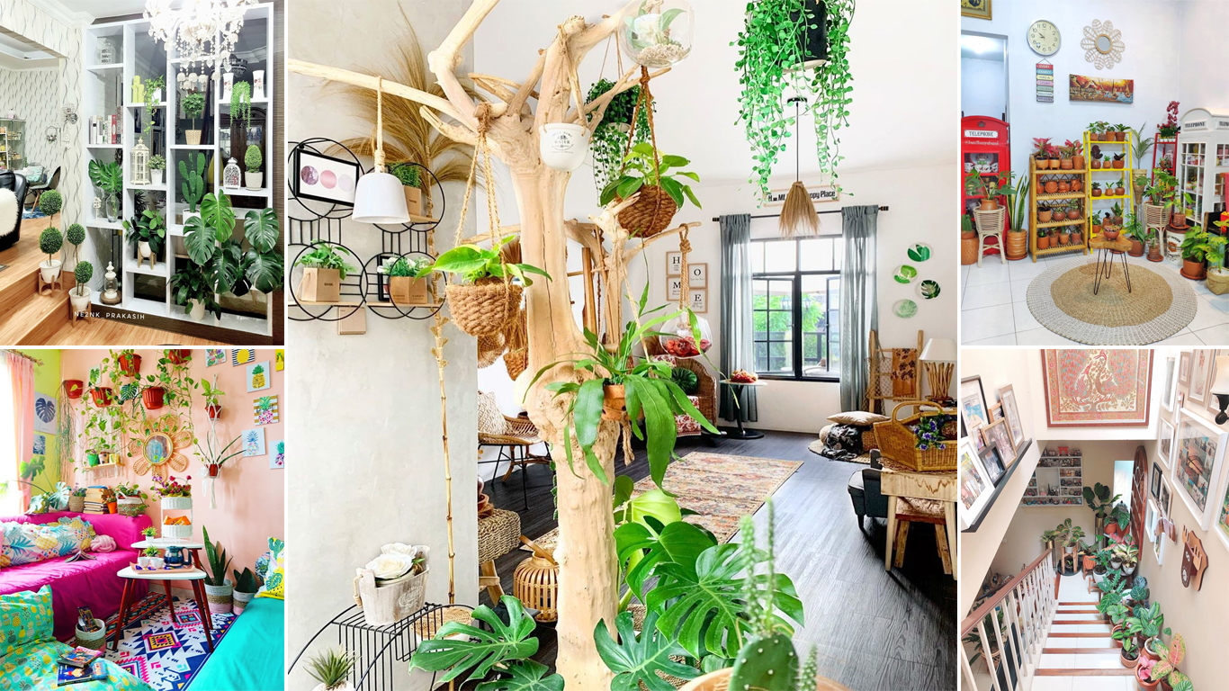 6 Desain Taman Dalam Rumah Untuk Hunian Asri dan Udara Tetap Segar