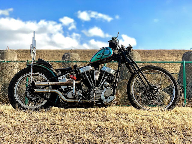 Harley Davidson Panhead By Skunk Choppers