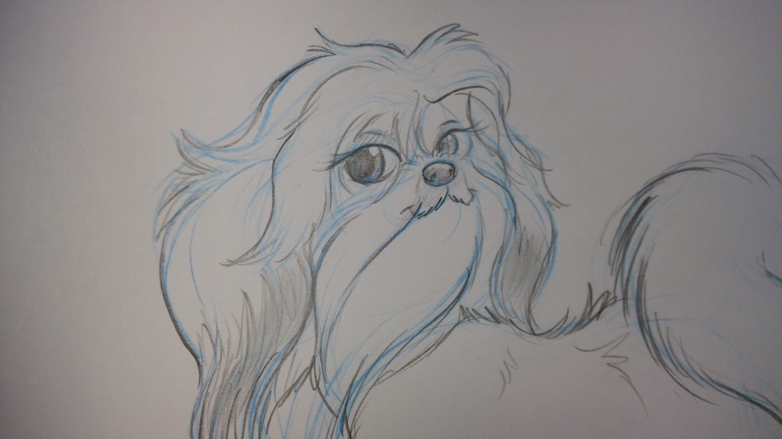 Doggie Fashions The Trentham Estate Staffordshire Paws across Britain