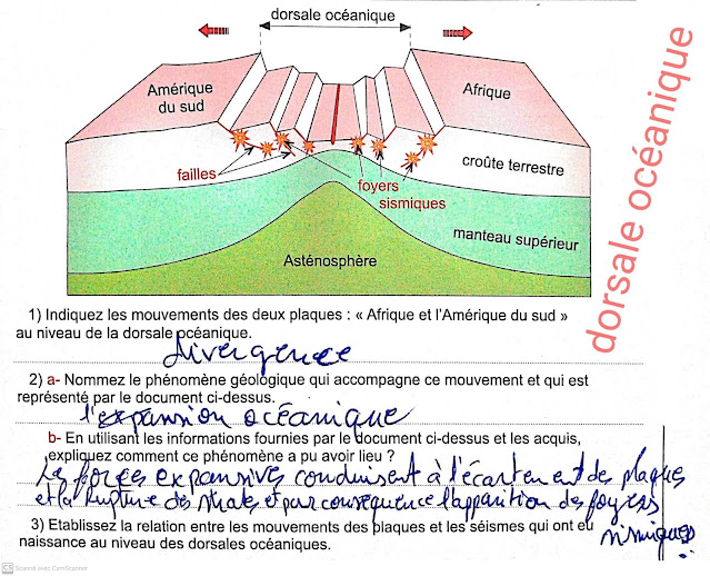 Les séismes et leur relation avec la tectonique des plaques