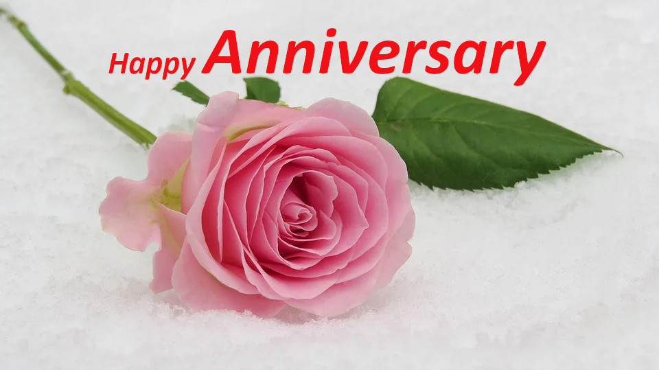Top 10 Wish You Happy Marriage Anniversary Images greating Pictures ...