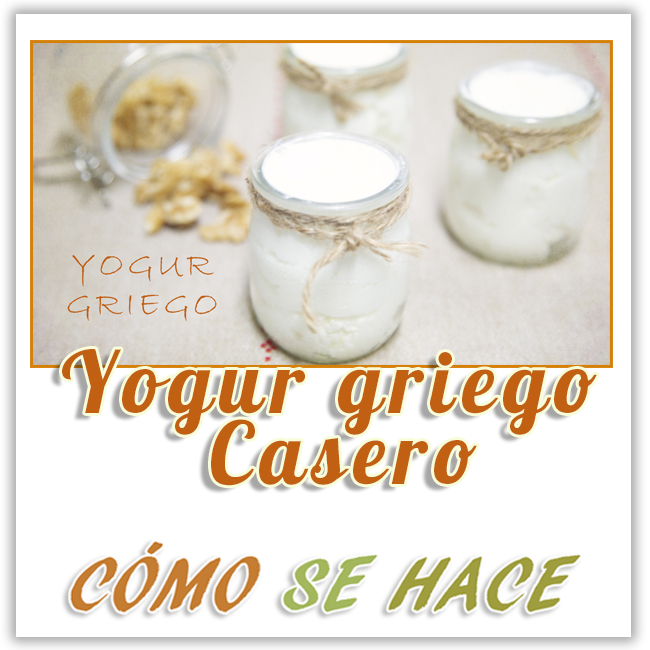 CÓMO HACER YOGUR GRIEGO SIN YOGURTERA