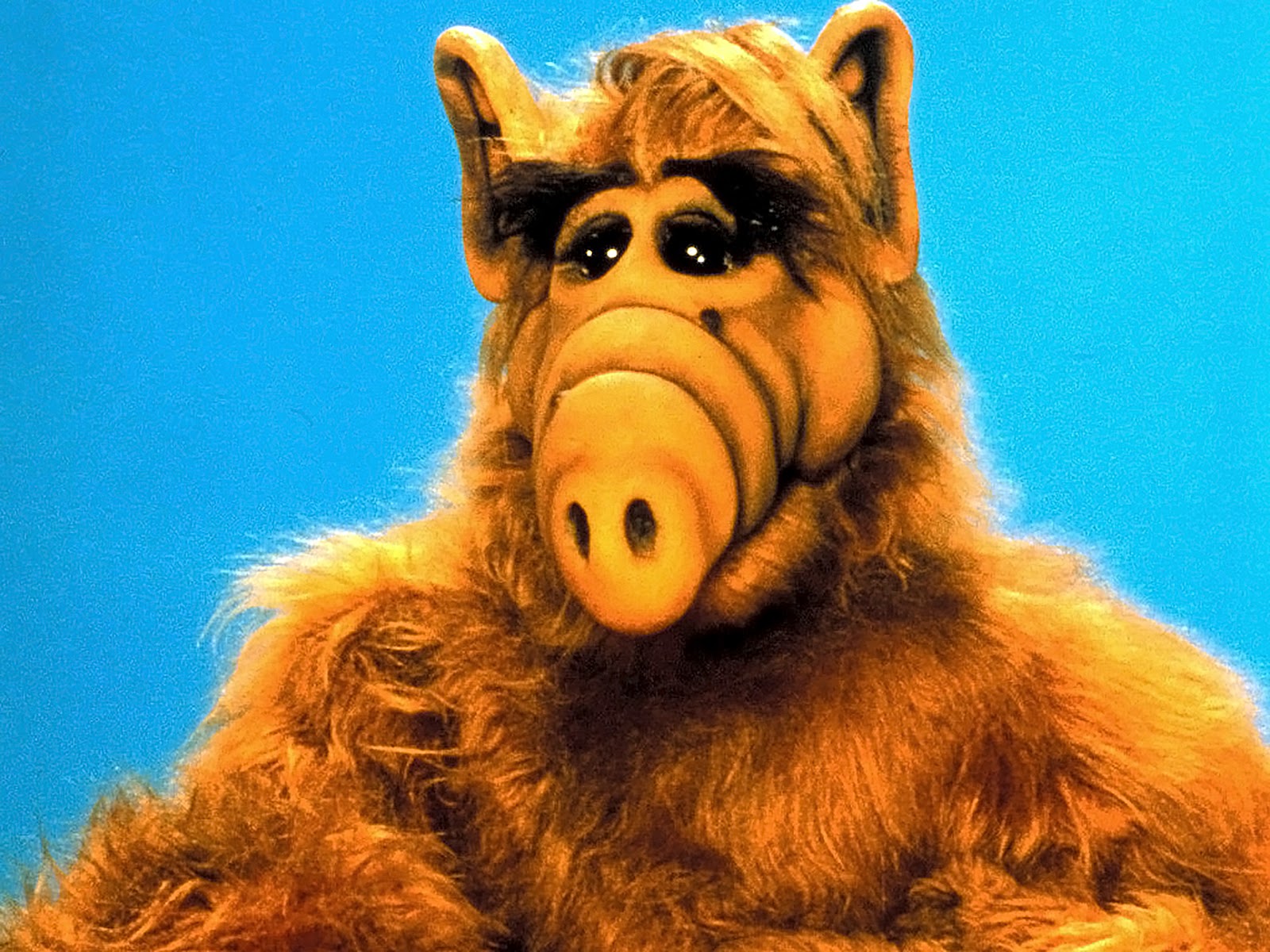 Le nouveau cinéphile: La série Alf, l'extraterrestre, adaptée au cinéma !