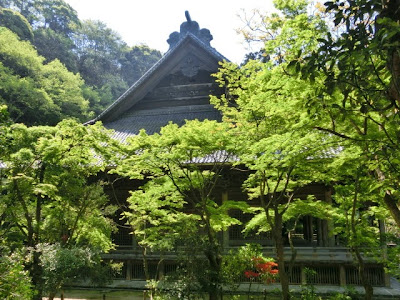 妙本寺の新緑