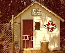 barn quilts quilt painted patterns designs pattern chicken barns le outdoor coop squares poulet seeing such fun