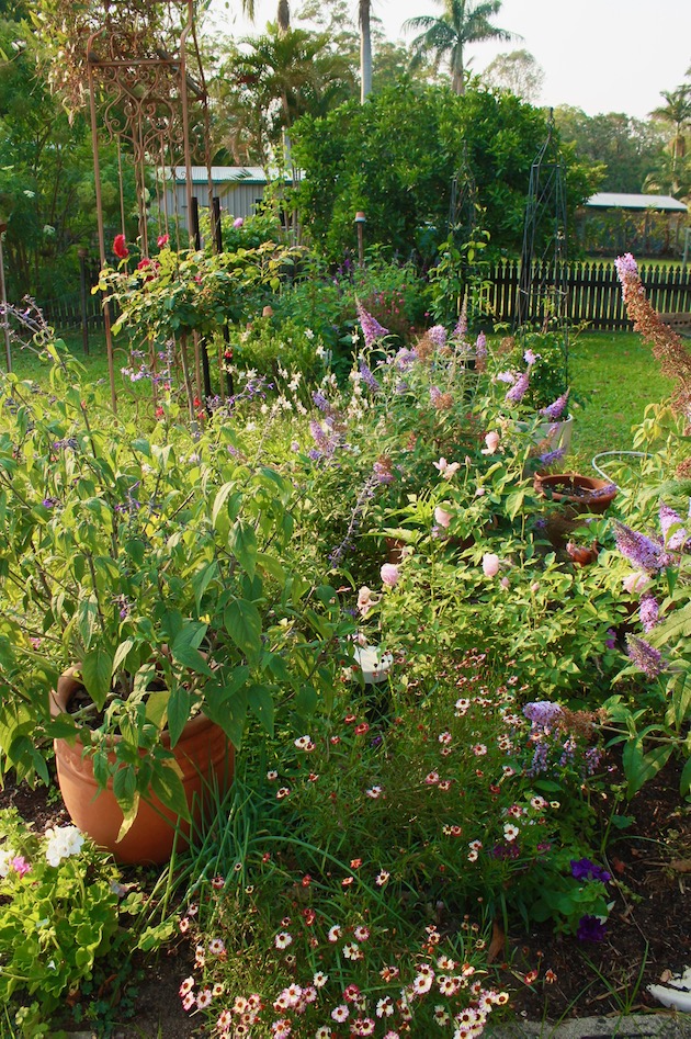 Our Cottage Garden Down To Earth